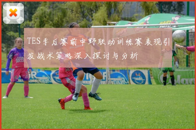 TES季后赛前中野联动训练赛表现引发战术策略深入探讨与分析